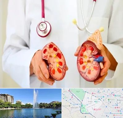 دکتر سنگ کلیه در کوهسنگی مشهد 