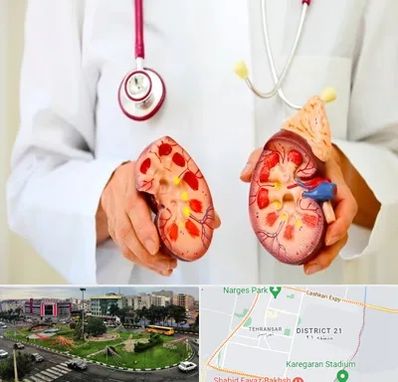 دکتر سنگ کلیه در تهرانسر 