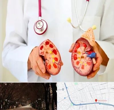 دکتر سنگ کلیه در ابوریحان تبریز