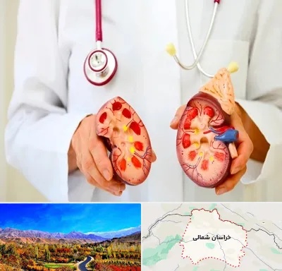 دکتر سنگ کلیه در خراسان شمالی