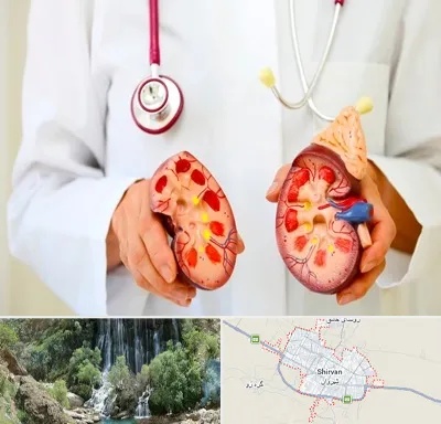دکتر سنگ کلیه در شیروان