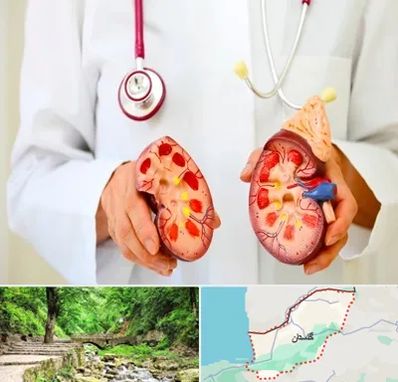دکتر سنگ کلیه در گلستان