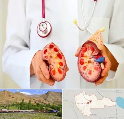 دکتر سنگ کلیه در خاش