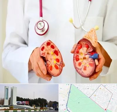 دکتر سنگ کلیه در بلوار فلسیطین مشهد