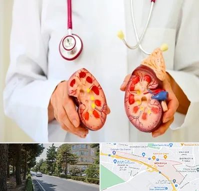 دکتر سنگ کلیه در مهرویلا کرج 