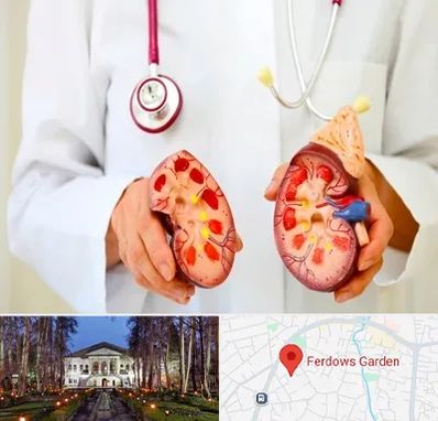 دکتر سنگ کلیه در باغ فردوس
