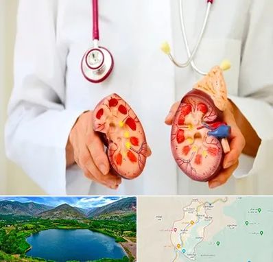 دکتر سنگ کلیه در رودبار