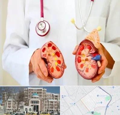 دکتر سنگ کلیه در طلاب مشهد