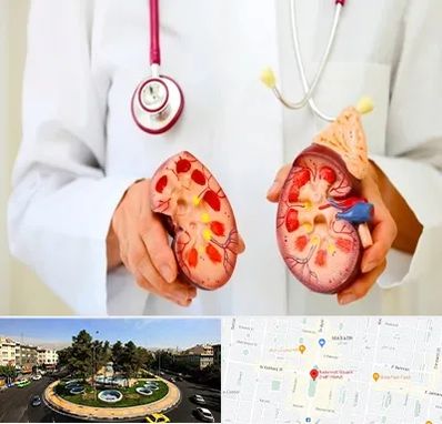 دکتر سنگ کلیه در هفت حوض 