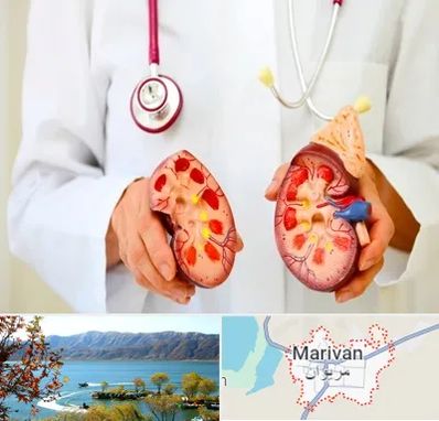 دکتر سنگ کلیه در مریوان