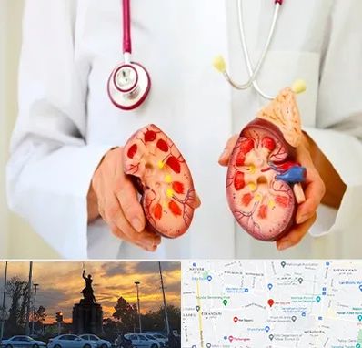 دکتر سنگ کلیه در میدان حر 