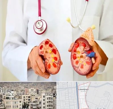 دکتر سنگ کلیه در اسکندری