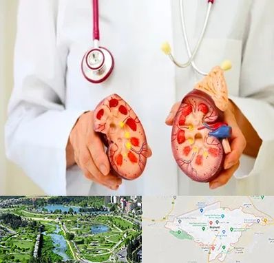 دکتر سنگ کلیه در بجنورد