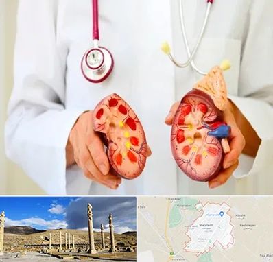 دکتر سنگ کلیه در مرودشت