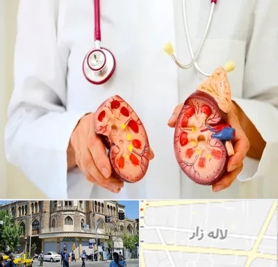 دکتر سنگ کلیه در لاله زار