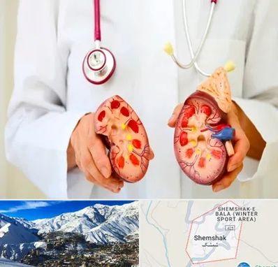 دکتر سنگ کلیه در شمشک