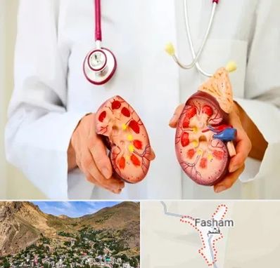 دکتر سنگ کلیه در فشم