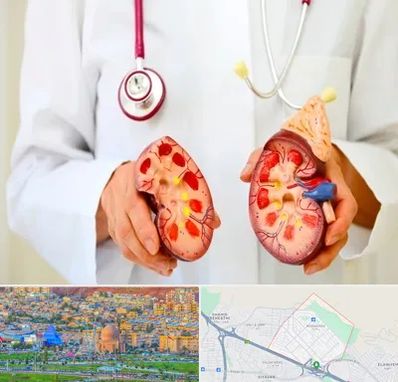 دکتر سنگ کلیه در رشدیه تبریز