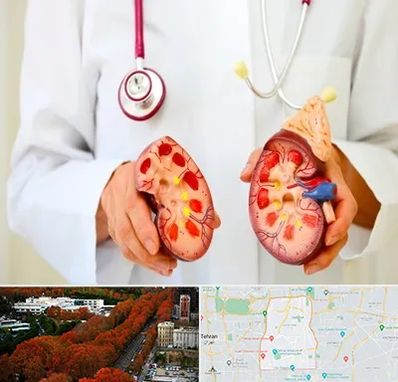 دکتر سنگ کلیه در منطقه 6 تهران 