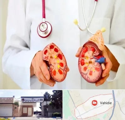 دکتر سنگ کلیه در وحیدیه شهریار