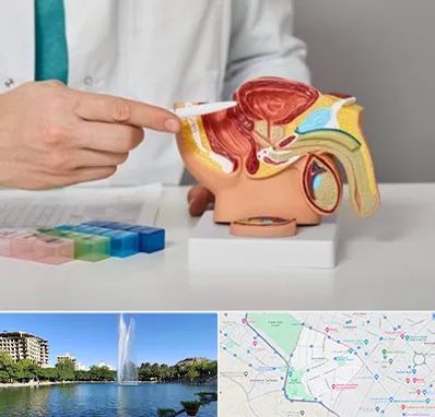 دکتر پروستات در کوهسنگی مشهد 