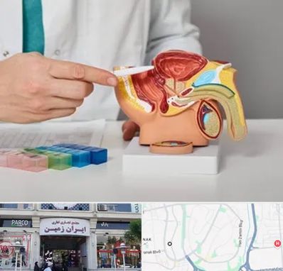 دکتر پروستات در ایران زمین