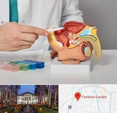 دکتر پروستات در باغ فردوس