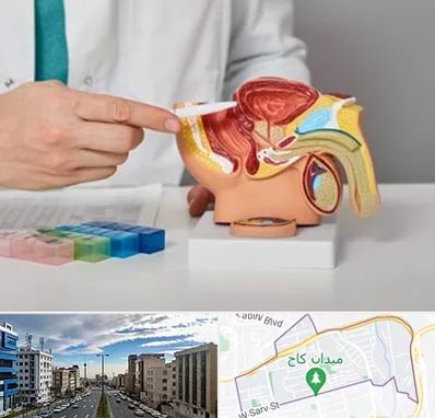 دکتر پروستات در سعادت آباد 