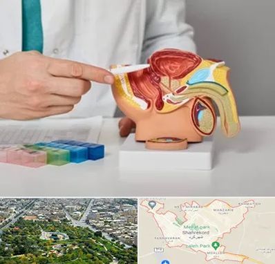 دکتر پروستات در شهرکرد