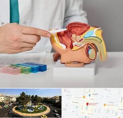 دکتر پروستات در هفت حوض 