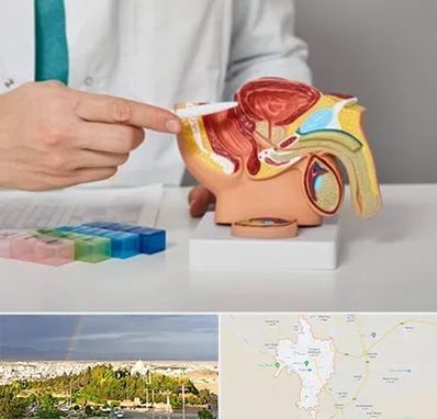 دکتر پروستات در تربت حیدریه