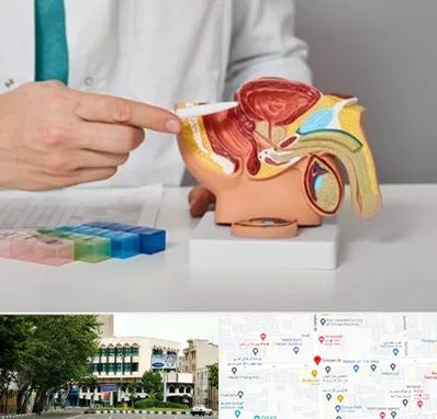 دکتر پروستات در طالقانی 