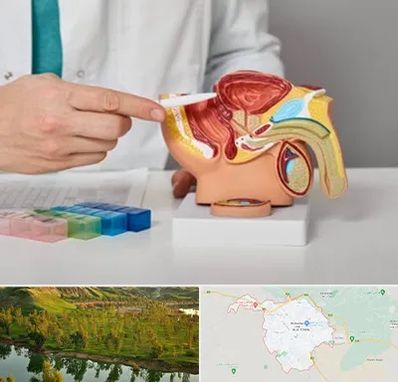 دکتر پروستات در بهبهان