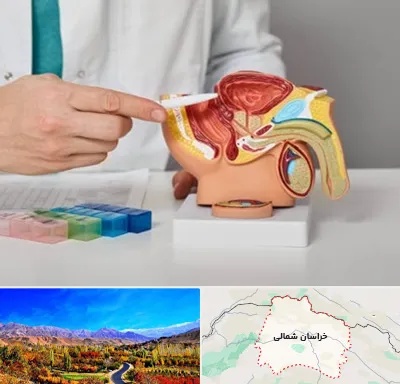 دکتر پروستات در خراسان شمالی