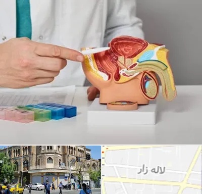 دکتر پروستات در لاله زار