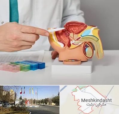 دکتر پروستات در مشکین دشت
