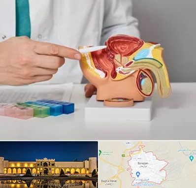 دکتر پروستات در برازجان