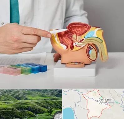 دکتر پروستات در گچساران