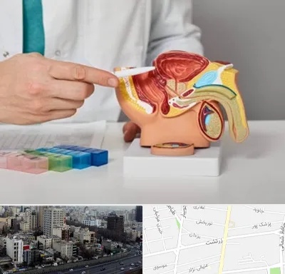 دکتر پروستات در زرتشت