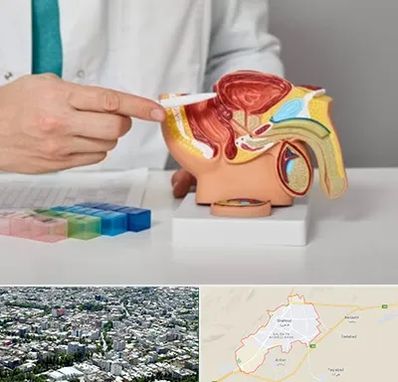دکتر پروستات در شاهرود