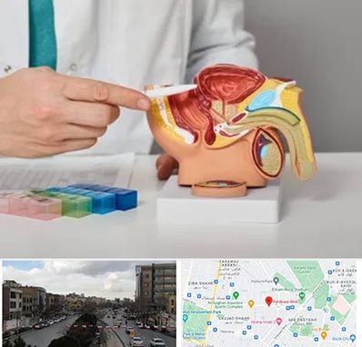 دکتر پروستات در بلوار فردوسی مشهد 