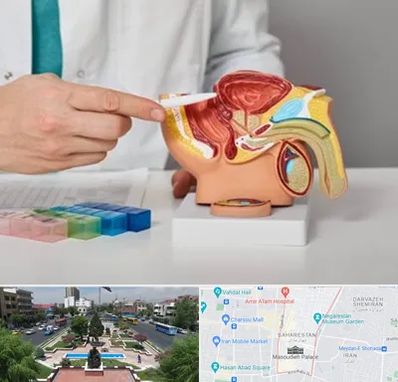 دکتر پروستات در بهارستان 