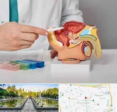 دکتر پروستات در سرسبز 