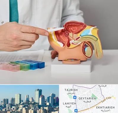دکتر پروستات در قیطریه 