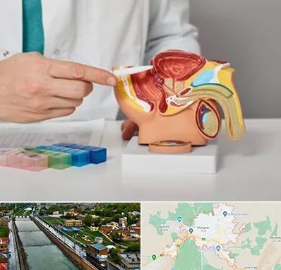 دکتر پروستات در مراغه