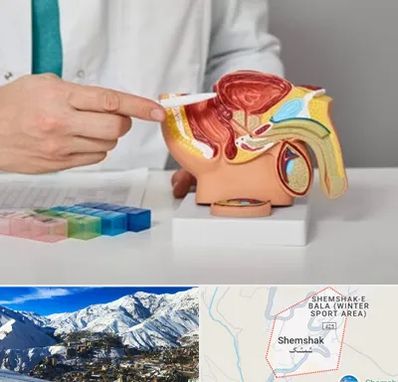 دکتر پروستات در شمشک