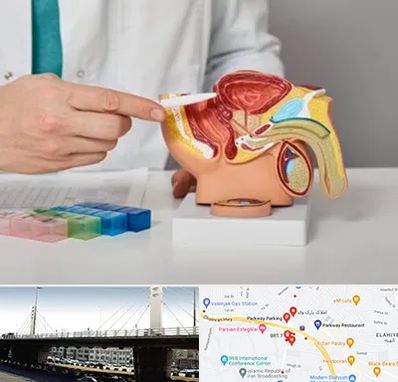 دکتر پروستات در پارک وی 