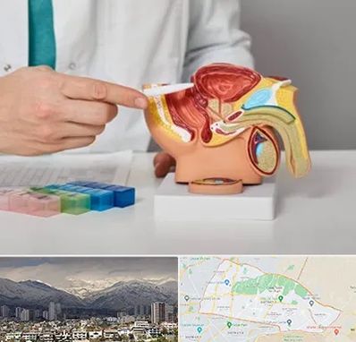 دکتر پروستات در منطقه 4 تهران 