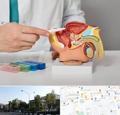 دکتر پروستات در میدان کاج 