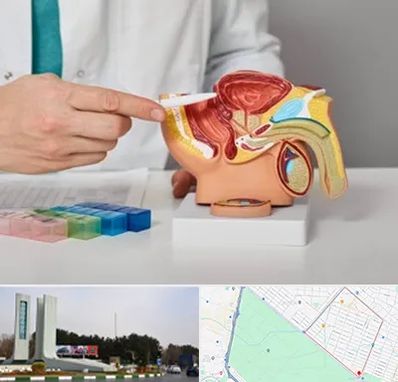 دکتر پروستات در بلوار فلسیطین مشهد